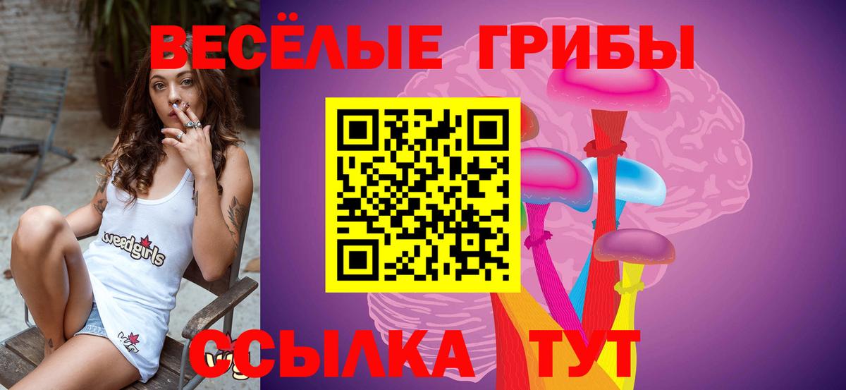 Ставрополь  Галлюциногенные грибы прущие грибы  Вход с VPN  Галлюциногенные грибы Magic Shrooms 